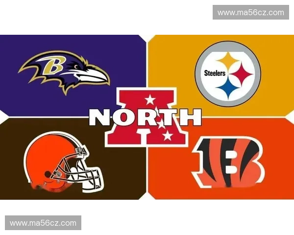 2025年NFL球队实力排名分析各队表现及未来发展趋势解析