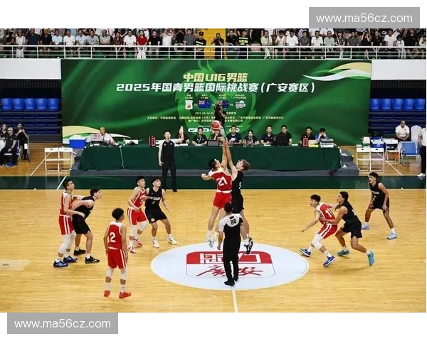 CBA腾讯体育深度聚焦新赛季强队格局与球星表现全面解析